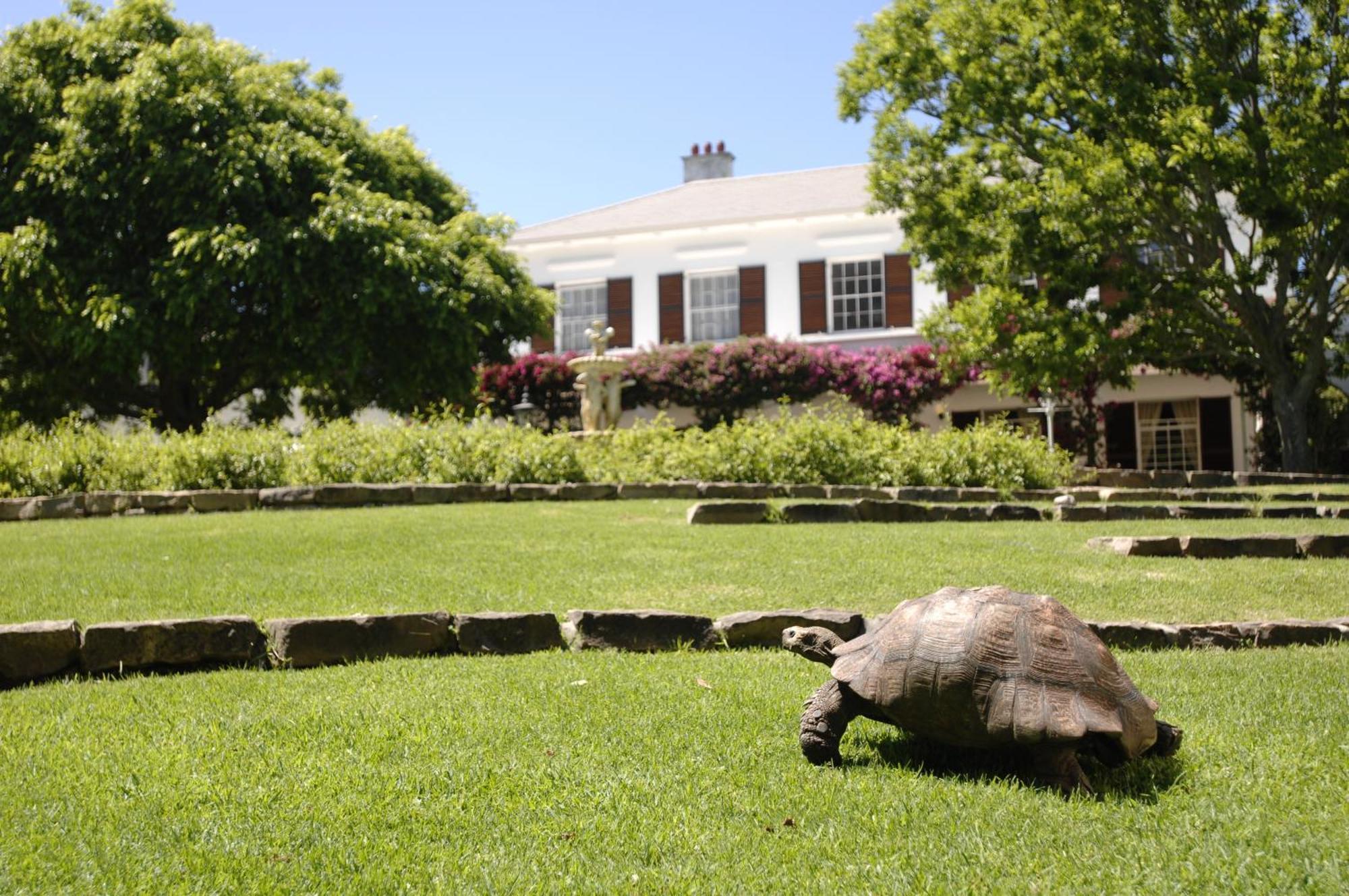 Vineyard Hotel Cape Town Dış mekan fotoğraf