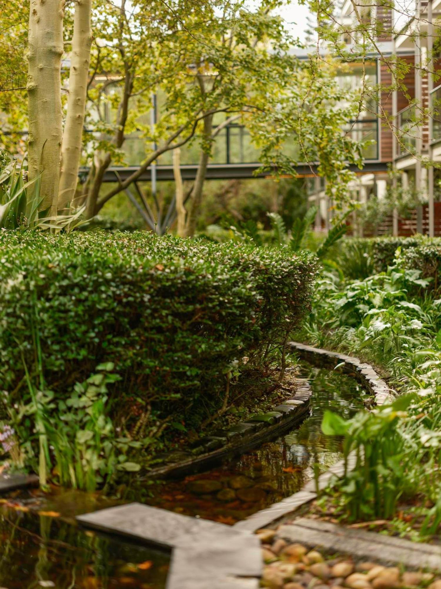 Vineyard Hotel Cape Town Dış mekan fotoğraf